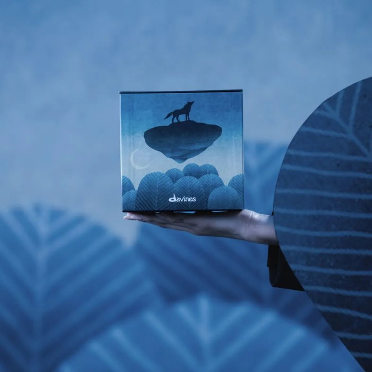 Coffrets Davines 2025 : Voyages sensoriels pour tous les cheveux