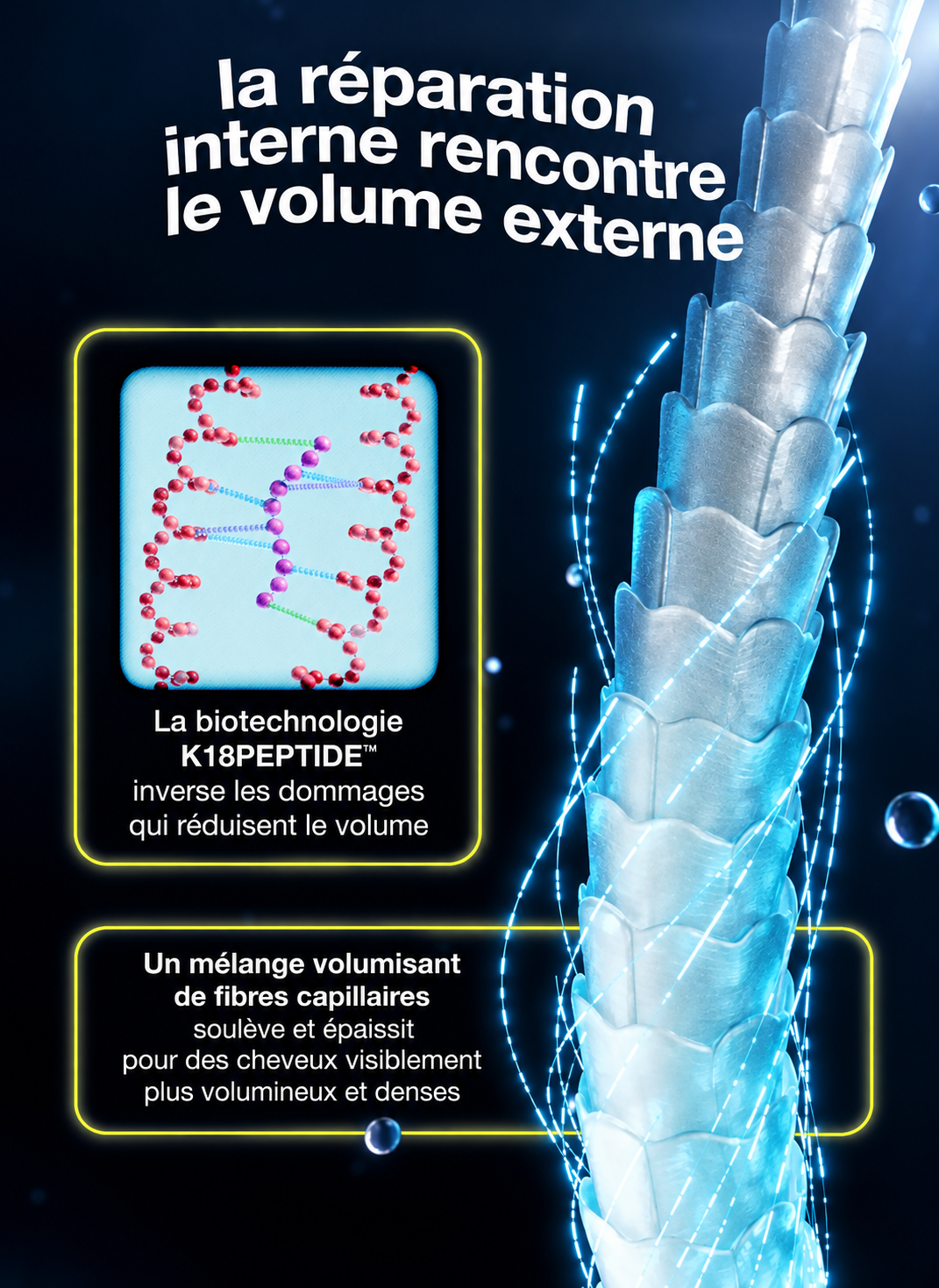 Schéma de l’action d’AstroLift : le K18PEPTIDE cible les dommages internes et le complexe volumateur épaissit la fibre en surface, selon K18.