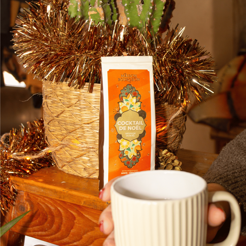 Infusion Cocktail De Noël Maison Bourgeon – visuel 3