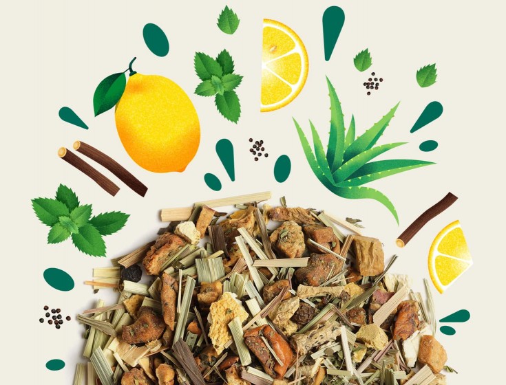 Infusion Détox Aloe Vera - Etienne Thomas