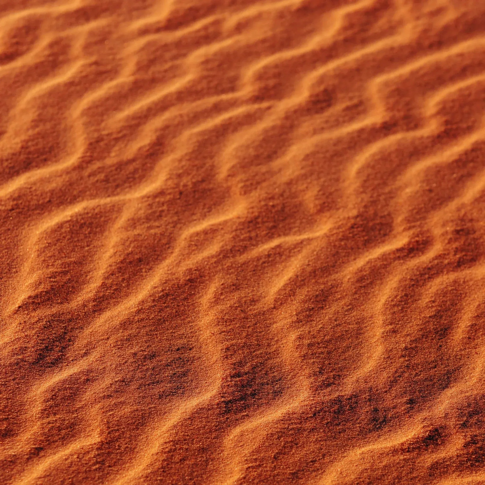 Visuel matière évoquant le sable et l’univers solaire de l’huile sèche sublimante Endro Cosmétiques.