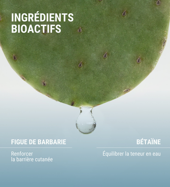 Image montrant les ingrédients bioactifs du produit Hydramemory de [comfort zone], avec une figue de barbarie illustrée en haut, accompagnée d'un texte indiquant "Renforcer la barrière cutanée" et de la bétaïne avec le texte "Équilibrer la teneur en eau".