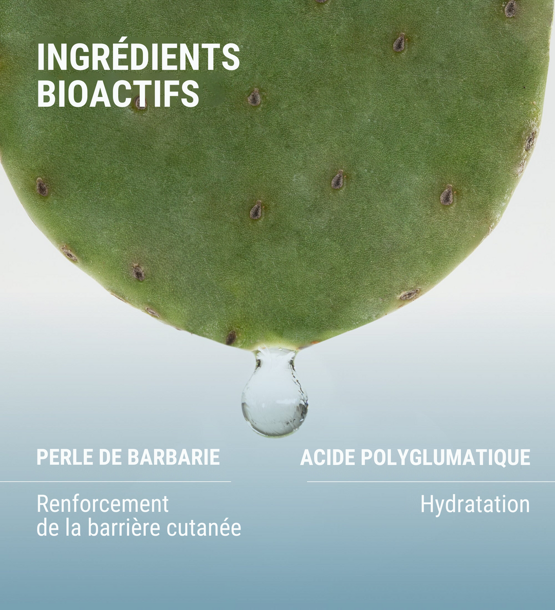 HYDRAMEMORY WATER SOURCE SERUM - Etienne Thomas