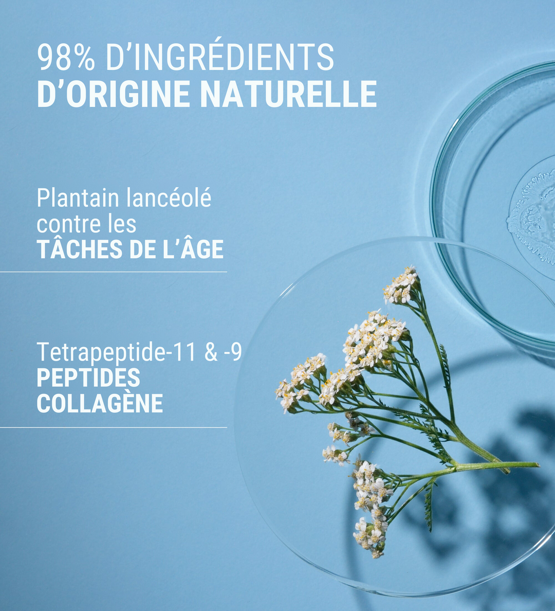 Comfort Zone : Crème Sublime Skin, 98% d'ingrédients d'origine naturelle, avec plantain lancéolé contre les taches de l'âge et tetrapeptide-11 et -9 pour les peptides de collagène.