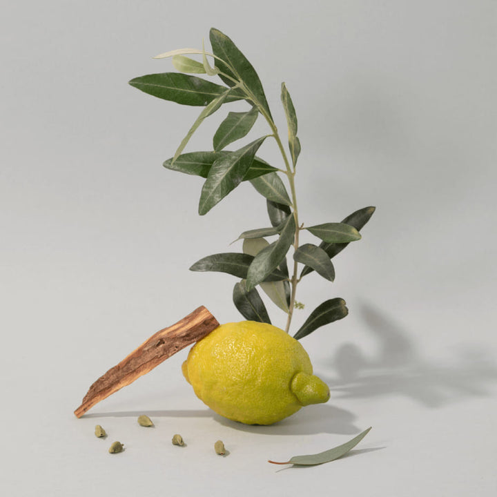 Composition naturelle avec un citron texturé, une branche d'olivier aux feuilles vertes, une écorce de bois et des graines sur un fond clair. Une mise en scène minimaliste inspirée des ingrédients méditerranéens.