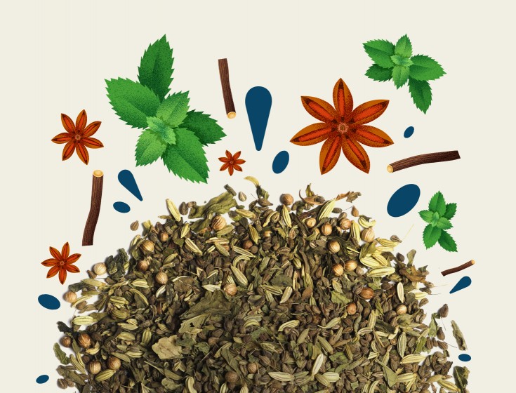 Image montrant les ingrédients de l'infusion Dans La Peau De Roméo de la marque Maison Bourgeon. Les ingrédients incluent des feuilles de menthe, des étoiles d'anis, des bâtons de réglisse, et des graines de coriandre, tous disposés autour du mélange d'infusion.