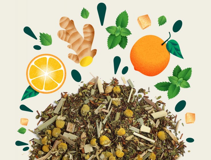 Infusion bio Maison Bourgeon Feel Good - mélange bien-être rooibos vert, camomille, gingembre, citronnelle, menthe et agrumes, sans théine, idéal pour la digestion et la relaxation.