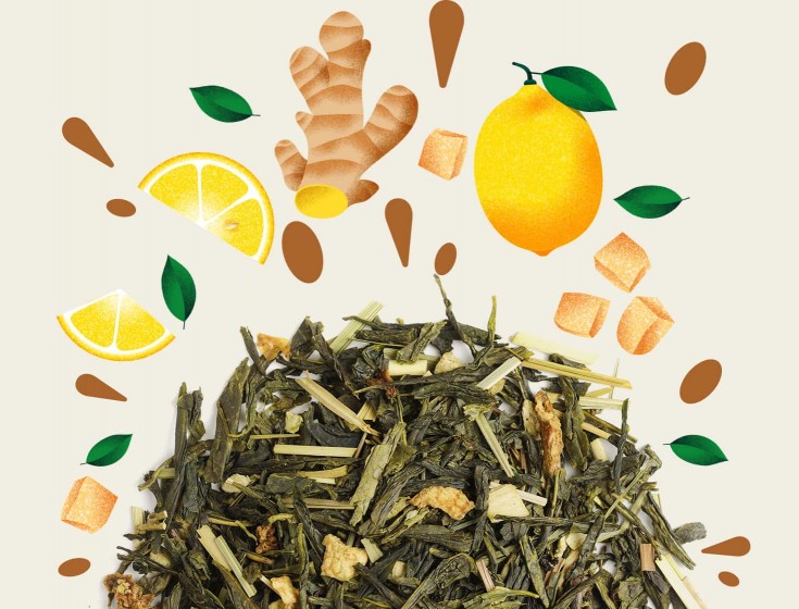 Ingrédients naturels du thé vert bio Citron Gingembre de Maison Bourgeon. Image montrant des morceaux de gingembre, des quartiers de citron, et des feuilles de thé vert, illustrant la composition et les saveurs fraîches et épicées de cette infusion.