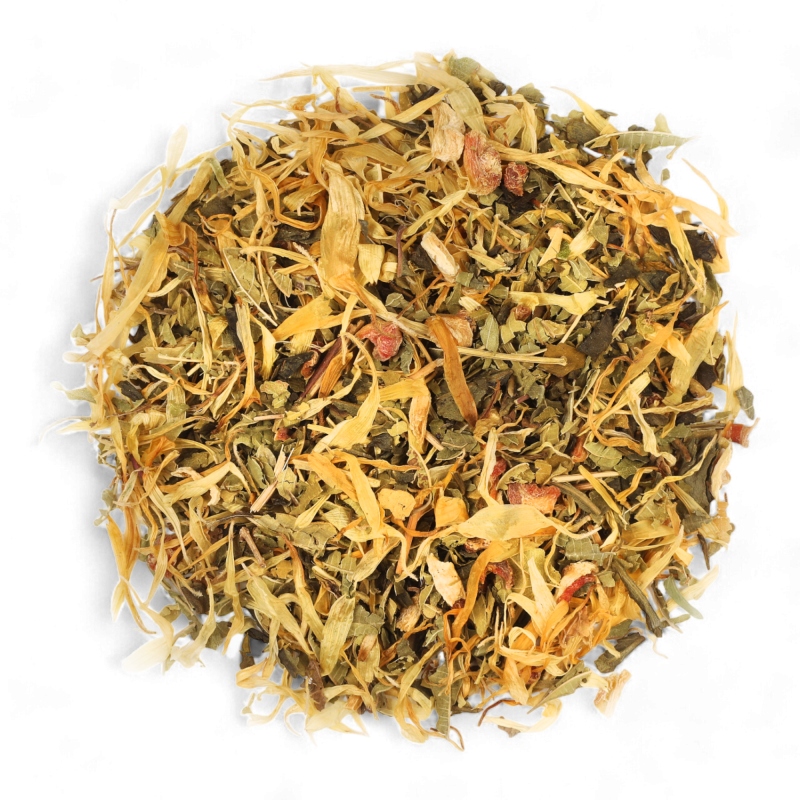 Thé Vert Mistral Gourmand Maison Bourgeon – mélange en vrac