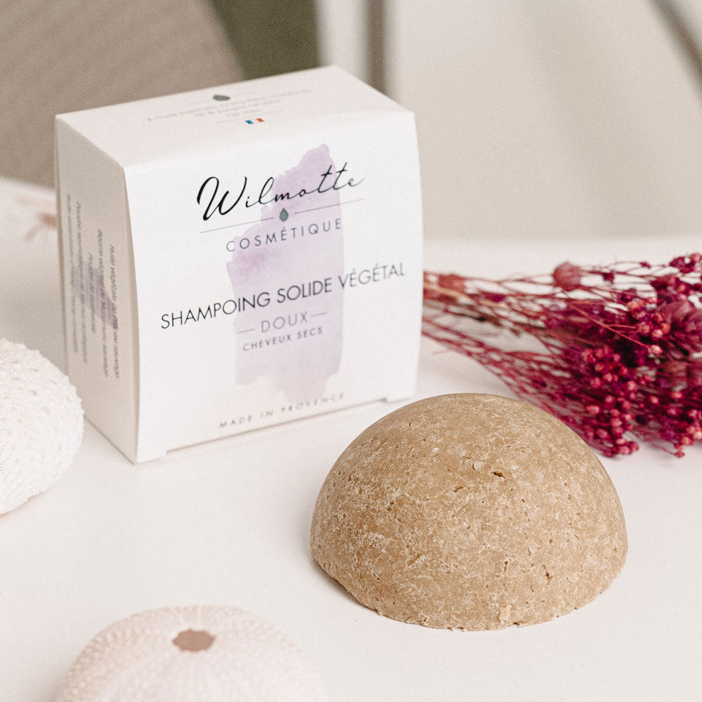 Shampoing solide doux Wilmotte Cosmétique pour cheveux secs, présenté avec son étui blanc et son galet naturel sur fond clair. Formulé avec beurre de Murumuru, huiles végétales et poudres ayurvédiques pour nourrir et réparer en profondeur.